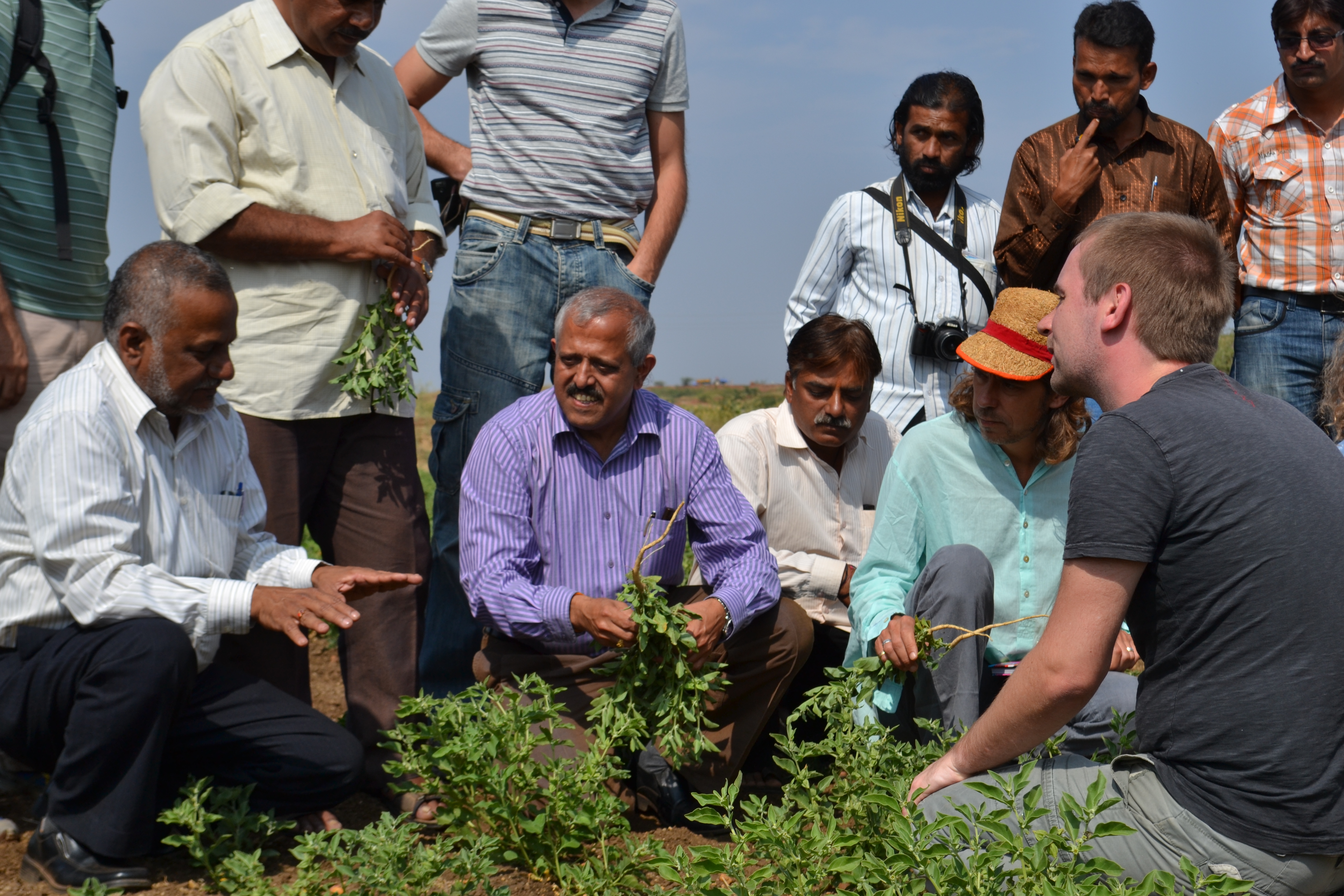 About Phaladaayi Foundation